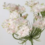 خرید آنلاین گل مصنوعی ایکیا SMYCKA مدل queen ann رنگ صورتی