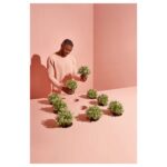 گل مصنوعی ایکیا FEJKA آویشن/ زردان