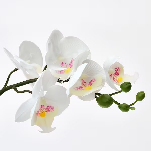 گل مصنوعی ایکیا FEJKA ارکیده سفید