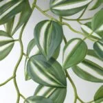 ست 3تایی گیاه مصنوعی ایکیا FEJKA سبز / فروشگاه