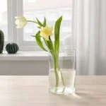 گلدان/آبپاش شیشه ای شفاف ایکیا CHILIFRUKT