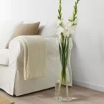 گلدان دکوراتیو بلند ایکیا مدل TIDVATTEN/ شیشه ای شفاف