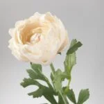 گل مصنوعی آلاله سفید ایکیا SMYCKA قیمت مناسب
