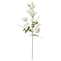 شاخه گل مصنوعی نخود شیرین ایکیا SMYCKA رنگ سفید