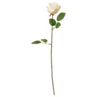 شاخه گل مصنوعی رز سفید ایکیا SMYCKA طول 52 سانتی متر