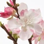 انواع گل مصنوعی ایکیا SMYCKA شکوفه‌های گیلاس/صورتی