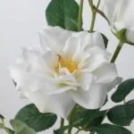 جنس گل مصنوعی ایکیا SMYCKA رز سفید ارتفاع 65