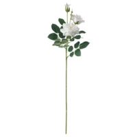 شاخه گل مصنوعی رز سفید ایکیا SMYCKA طول 65 سانتی متر