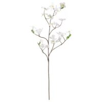 شاخه گل مصنوعی داگ وود ایکیا SMYCKA رنگ سفید ارتفاع 100