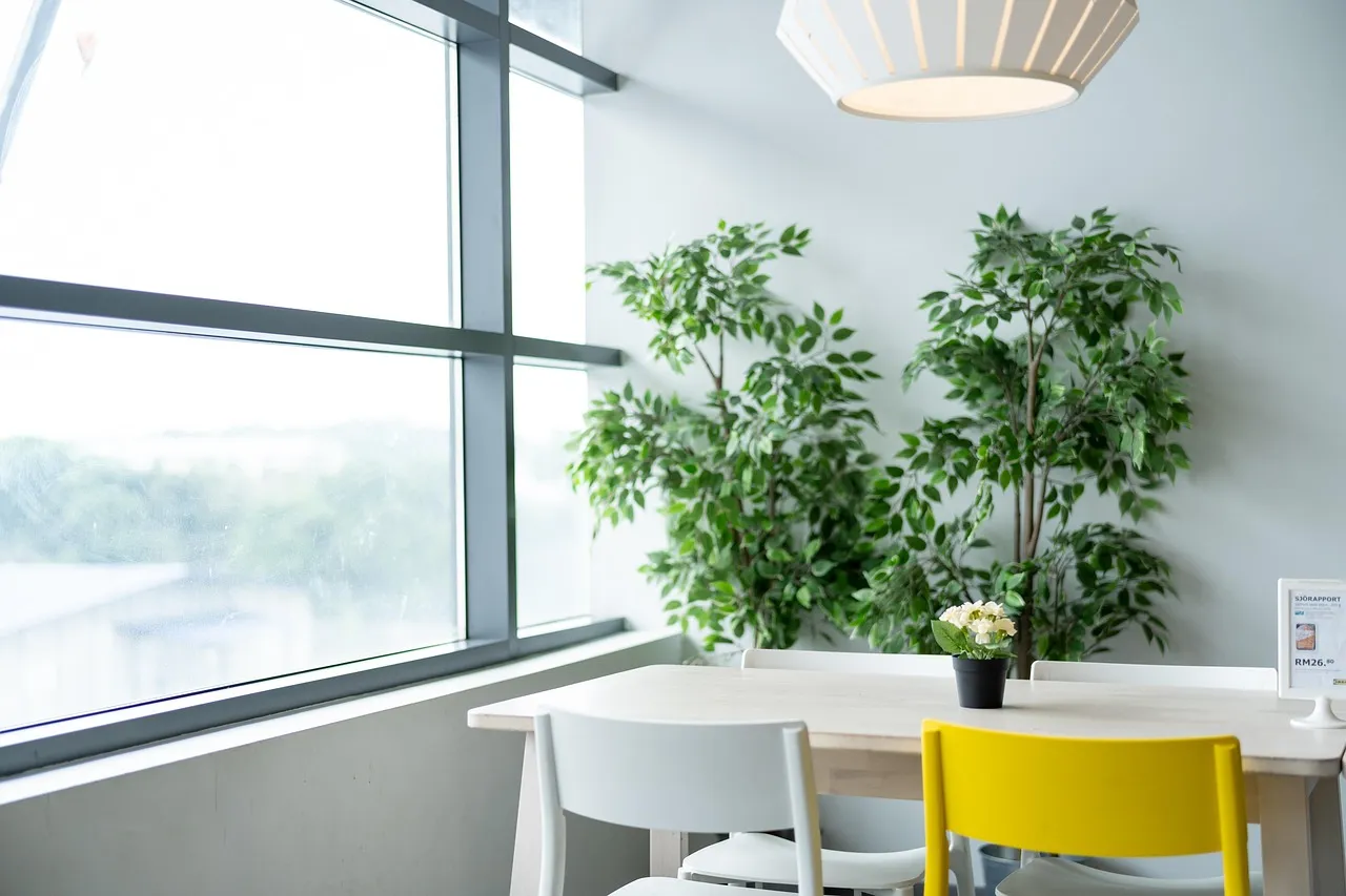 نکات حرفه‌ای برای افزایش طول عمر محصولات IKEA