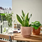 گلدان سرامیکی ایکیا مدل HONUNGSPALM صورتی، 15 سانتی‌متر