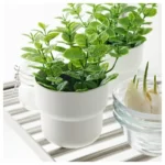 خرید آنلاین گیاه مصنوعی گلدانی ایکیا مدل FEJKA، رنگ نعناعی