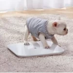 خرید ترازوی هوشمند شیائومی مدل Mi Smart Scale 2