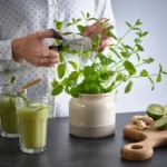 گلدان کوچک سرامیکی ایکیا مدل BRUGDHAJ  بژ، ظرفیت ۱ لیتر