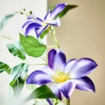 قیمت گل مصنوعی ایکیا مدل SMYCKA، نوع Clematis، آبی، ارتفاع ۹۷ سانتی‌متر