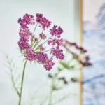 قیمت گل مصنوعی ایکیا مدل SMYCKA مدل (Queen Ann) یاسی