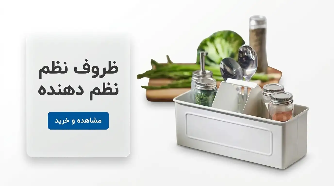 ظروف نظم دهنده